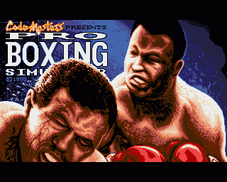 Pro Boxing Simulator