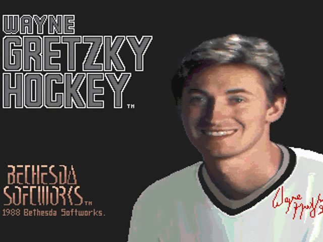 Wayne Gretzky Hockey