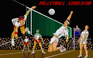 Volleyball Simulator