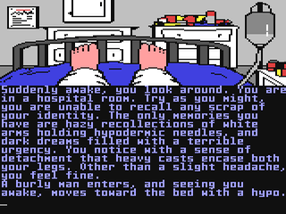 Nine Princes in Amber