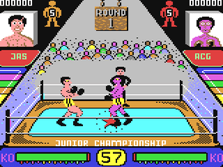 Pro Boxing Simulator