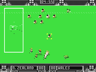 Rugby: The World Cup