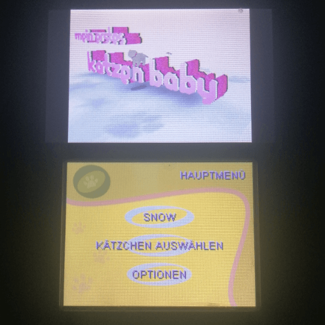 Mein erstes Katzenbaby