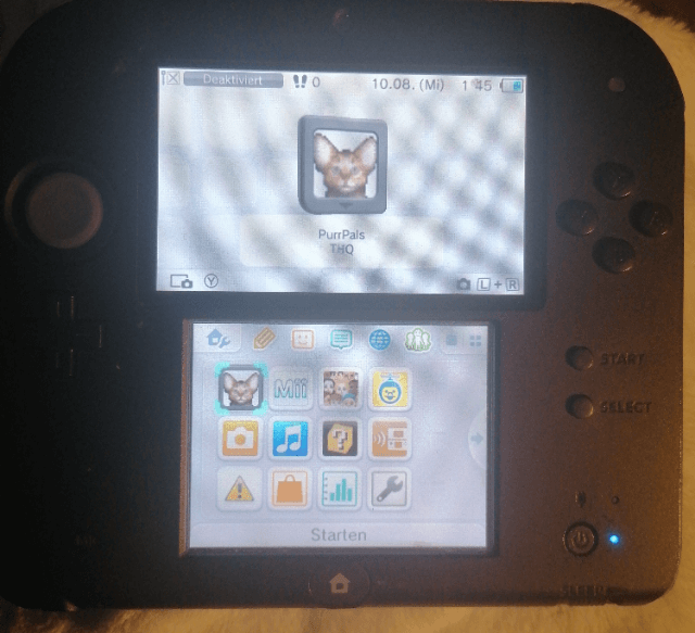 Mein erstes Katzenbaby