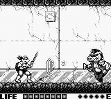 Teenage Mutant Hero Turtles: Fall of the Foot Clan