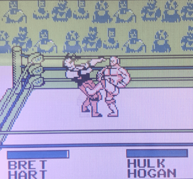 WWF King of the Ring