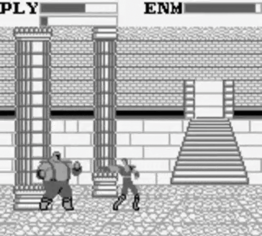 Fist of the North Star