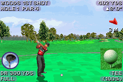 Tiger Woods PGA Tour 2004