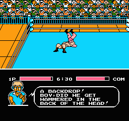 Tecmo World Wrestling
