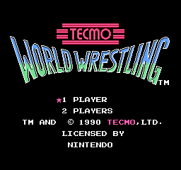 Tecmo World Wrestling