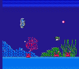 La Gran Aventura Sumbarina