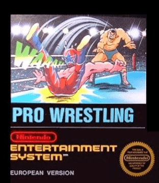 Pro Wrestling