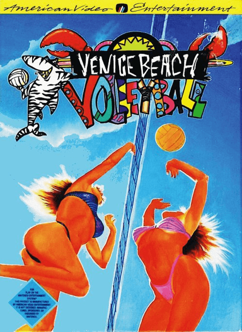 Venice Beach Volleyball