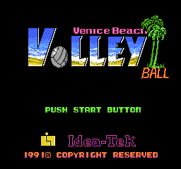 Venice Beach Volleyball