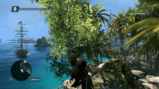 Assassin's Creed IV: Black Flag
