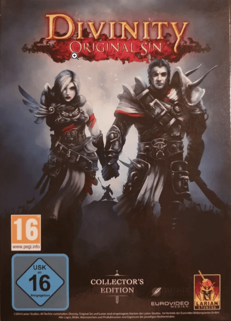 Divinity: Original Sin