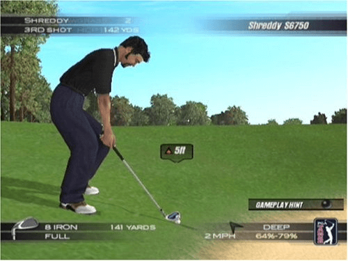 Tiger Woods PGA Tour 2004