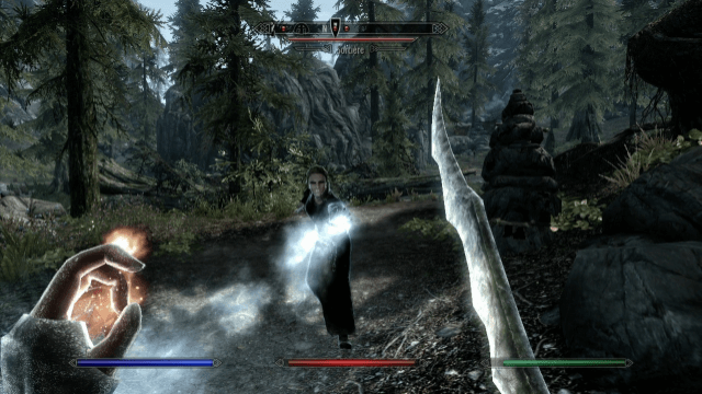 The Elder Scrolls V: Skyrim
