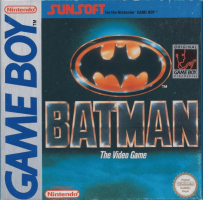 Batman: The Video Game