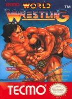 Tecmo World Wrestling