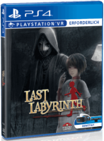 Last Labyrinth