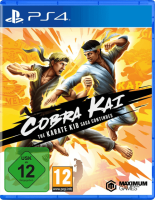 Cobra Kai: The Karate Kid Saga Continues