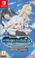 Is it wrong to try to pick up girls in a dungeon ? Infinite Combate